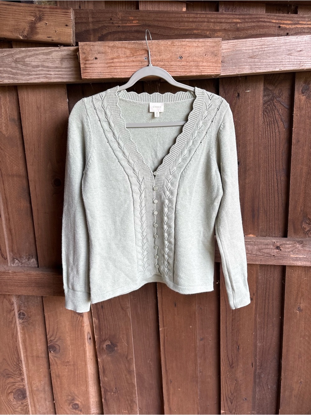 Cyrus Seafoam Green Cottagecore Scallop Pointelle Cardigan